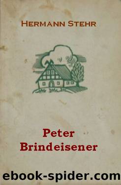Stehr, Hermann: Peter Brindeisener. 1924 by Stehr