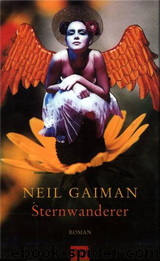 Sternwanderer by Neil Gaiman