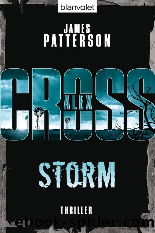 Storm: Thriller (German Edition) by James Patterson