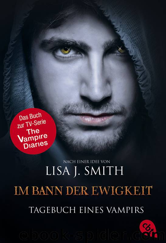 Tagebuch eines Vampirs - Im Bann der Ewigkeit by Smith Lisa J