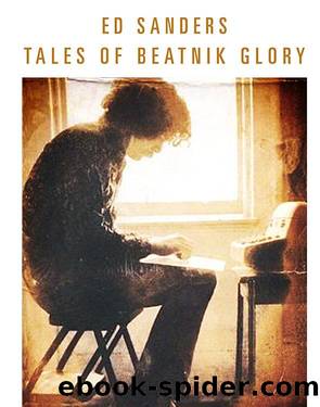 Tales of Beatnik Glory - Deutsche Edition - Band I-IV by Ed Sanders