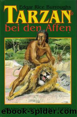 Tarzan Bei Den Affen by Burroughs Edgar Rice