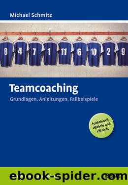 Teamcoaching: Grundlagen, Anleitungen, Fallbeispiele by Schmitz Michael
