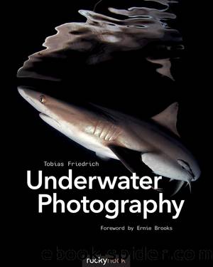 Underwater Photography by Tobias Friedrich