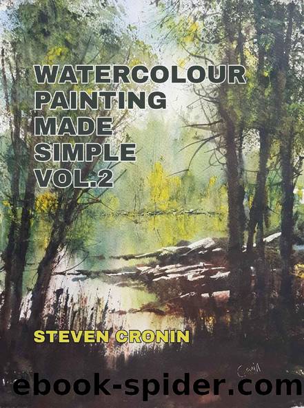 Watercolour Painting Made Simple Vol.2 by Steven Cronin