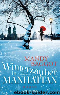 Winterzauber in Manhattan by Baggot Mandy