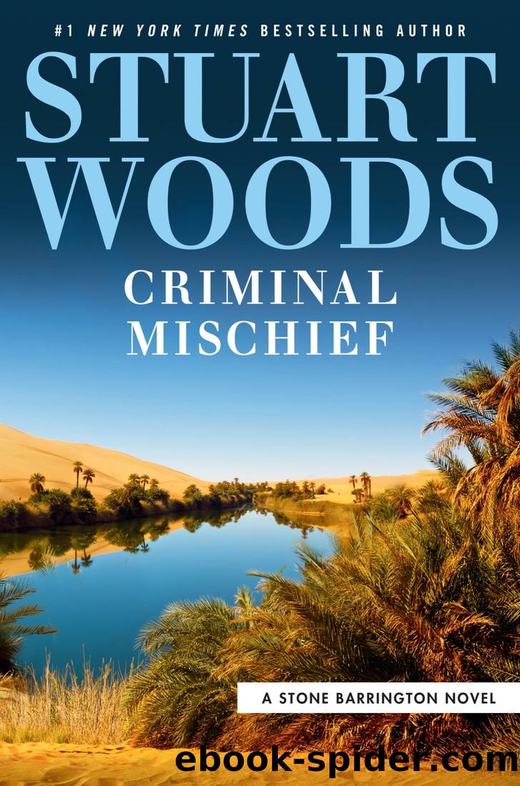 Woods, Stuart - Criminal Mischief by Woods Stuart