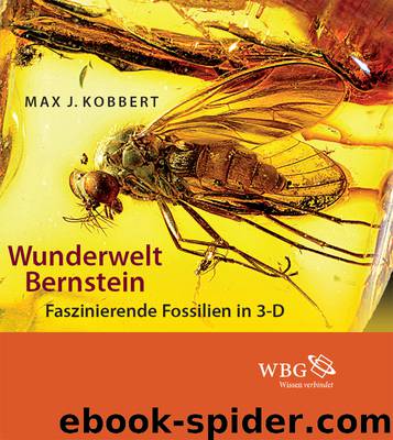 Wunderwelt Bernstein by Kobbert Max J.;